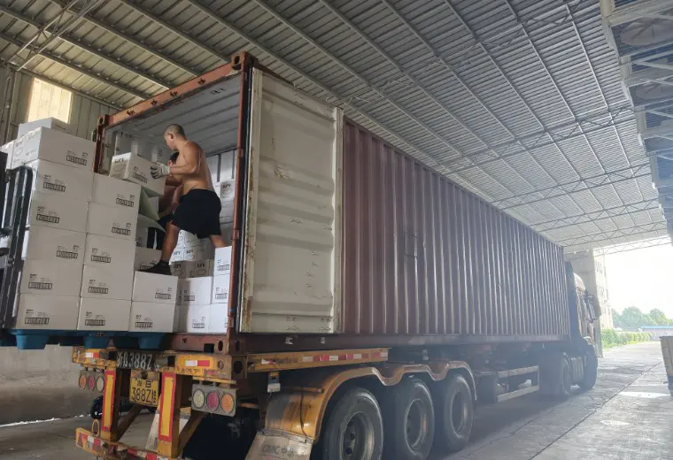 Kosda Junho de 2026 Exportação de produtos de papel de contêiner duplo | Ningbo