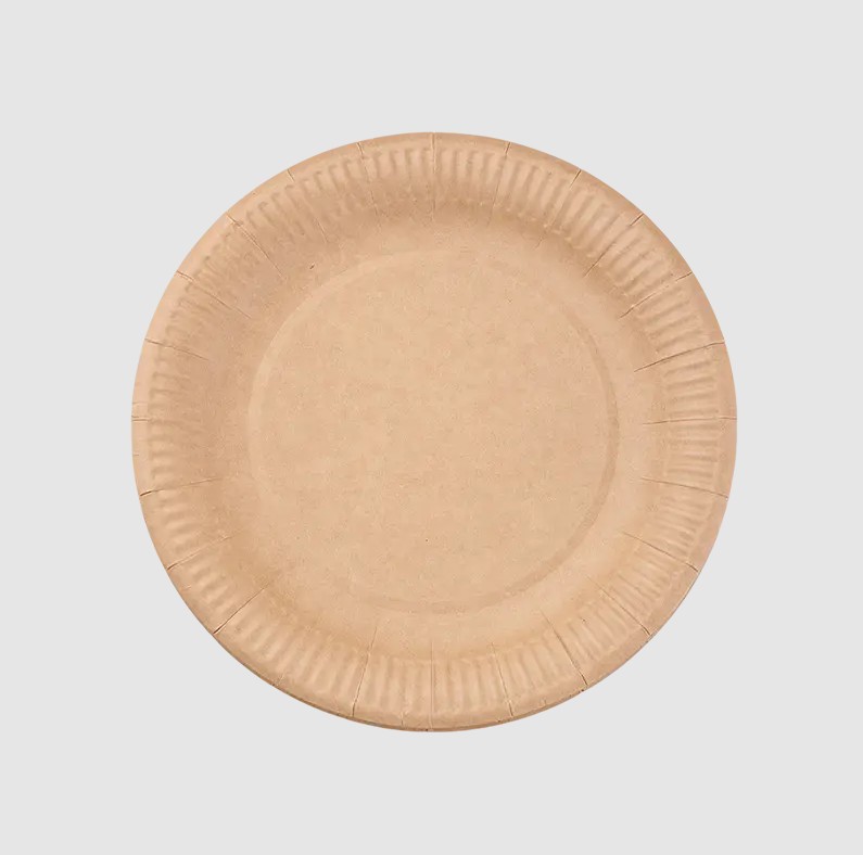 Por que os pratos de papel biodegradáveis ​​estão remodelando as embalagens de catering?